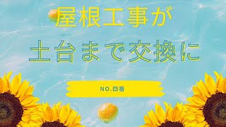 屋根工事が土台まで交換になってしまいました。四番 頼んでいた屋根材が来たので屋根葺き工事します [upl. by Callista]