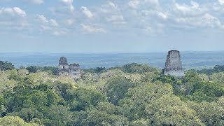 Tikal Mayan Ruins [upl. by Adnawed]