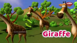 Interesting Animal Facts  Giraffe  Giraffe Essay in English  Learn Animals  Giraffe Song Kids [upl. by Stoops]