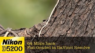 Nikon D5200 64Mbps hack [upl. by Alvina458]