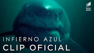 INFIERNO AZUL  ¡Tiburón  CLIP en ESPAÑOL  Sony Pictures España [upl. by Campos]