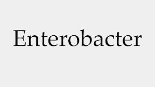 How to Pronounce Enterobacter [upl. by Yrol822]