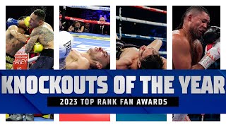 The 4 Best Knockouts of 2023  FIGHT HIGHLIGHTS [upl. by Yauqram]