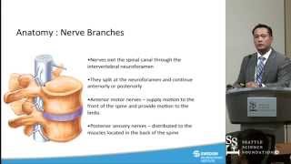 Lumbar Neurotomy by Glen David MD [upl. by Job]