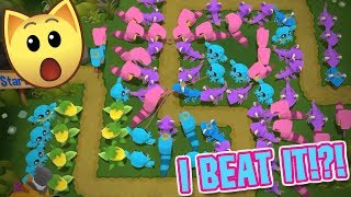 I Beat The Hardest Game On Animal Jam Play Wild [upl. by Dannel]