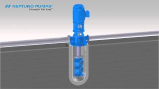 Neptuno Pumps® Vertical Can Type Pump [upl. by Mose]