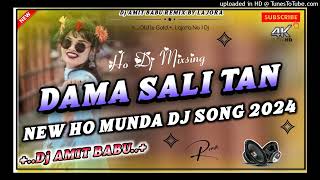 NEW HO MUNDA SONGDAMA SALI TAN 2024DAMA DUMNG MIX  Dj AMIT BABU LAJORAGOILKERA KHATRA DJcom [upl. by Bushweller614]