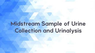 Midstream Sample of Urine Collection and Urinalysis [upl. by Orlanta]