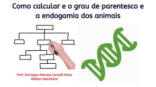 Como calcular o grau de parentesco e a endogamia dos animais [upl. by Ainotal]