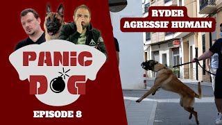 Malinois AGRESSIF humain  PANIC DOG Ep8 [upl. by Gnihc525]