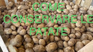 COME CONSERVARE LE PATATE [upl. by Virnelli]