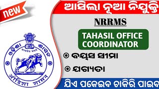 Tahasil Office Coordinator Recruitment 2024 [upl. by Nirad]