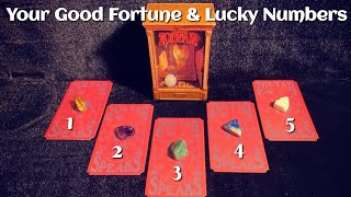 🔮Good Fortune amp Lucky Numbers  PickACard [upl. by Nyl]