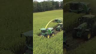 This team is strongreaper silagemachine modern agriculture shorts viralvideo youtubeshorts [upl. by Leoline]