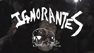 IGNORANTES Live in Los Angeles [upl. by Niawd]