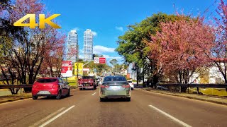 Curitiba PR  4K BRASIL [upl. by Wit553]