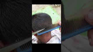 Traditional Haircut ASMR✂️ shavealready asmr shaving Haircut barberasmr [upl. by Salinas27]