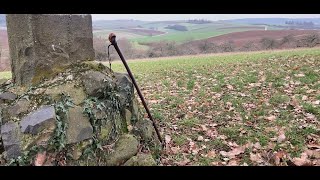 Irish Black Thorn Walking stickShillelagh [upl. by Akimat269]