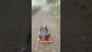 yercaud hills excercise [upl. by Suicul]