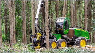 Harvester John Deere 1270E  Máquina de Colher Árvores [upl. by Yromas570]