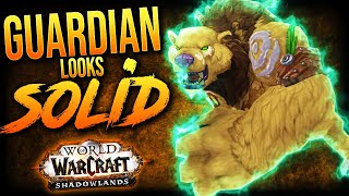 GUARDIAN DRUID Shadowlands BETA Overview [upl. by Yllet]