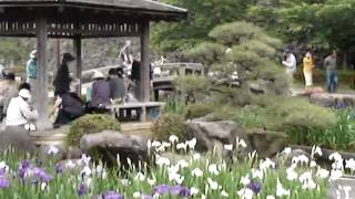 Omura Castle Iris Garden Japan [upl. by Hewet]