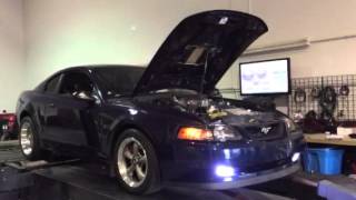 2001 Bullitt Mustang GT dyno pull Supercharged [upl. by Brouwer]