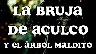 La Bruja de Aculco y el Árbol Maldito [upl. by Triny]