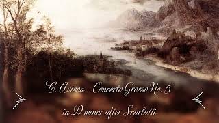 C AVISON Concerto Grosso No 5 in D minor after Scarlatti Orquesta Barroca de Sevilla [upl. by Ellehsal93]