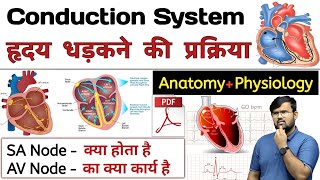 हृदय धड़कन  Heart Conductive System  Anatomy and Physiology  Anatomy in hindi  Physiology [upl. by Hanad525]