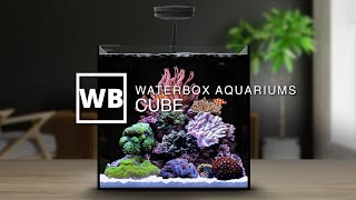 Waterbox Aquariums CUBE Overview [upl. by Lolanthe]