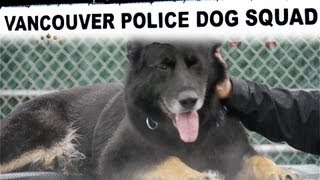 TulipTV  Police Dogs [upl. by Sydney]