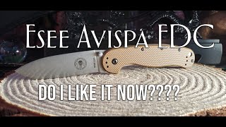 ESEE AVISPA FRAME LOCK EDCquotDO I LIKE IT NOWquot [upl. by Liana]