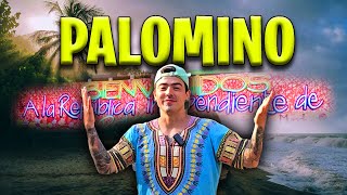 😱 La MEJOR PLAYA de COLOMBIA 🤯 PALOMINO [upl. by Merrel159]