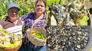 Como Preparar Huitlacoche Manjar De México🌿💯🌽 [upl. by Yznil]