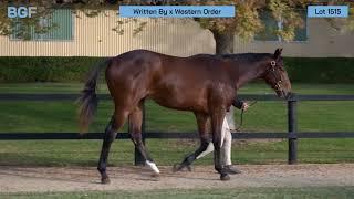 2024 Magic Millions Gold Coast June Yearling Draft  Lot 1515  Written By x Western Order [upl. by Elayor]