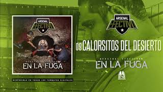 09 Calorsitos del desierto  Arsenal Efectivo Audio Oficial [upl. by Nayrbo837]