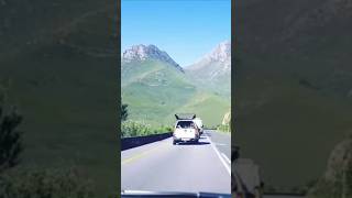 🚗 4K Drive  Outeniqua Mountains 🌄 shorts oudtshoorn outeniqua OuteniquaMountains 4KVideo [upl. by Nahgen401]