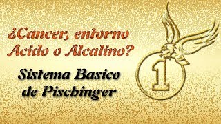 ¿Cáncer entorno Ácido o Alcalino Sistema Básico de Pischinger [upl. by Ariak421]