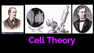 CELL THEORY CELL BIOLOGY  SCHWANN Robert HookeAnton van Leeuwenhoek [upl. by Einnor418]