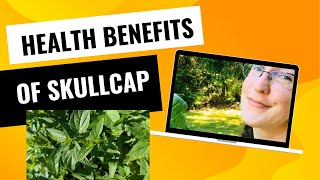 Surprising Health Benefits of Skullcap [upl. by Nailliw]