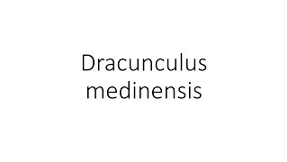 Dracunculus medinensis  Parasitology [upl. by Calabresi]