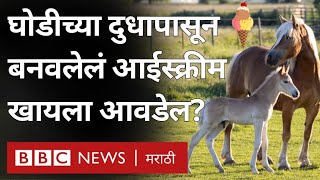 Horse Milk Ice Cream  घोडीच्या दुधापासून बनवलेलं आईस्क्रीम खायला आवडेल [upl. by Enomes789]