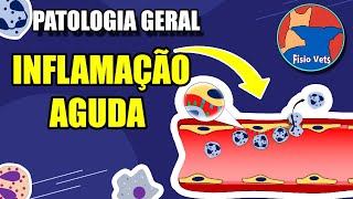 Inflamação aguda  fenômenos vasculares e celulares  Patologia Veterinária [upl. by Ailecec]