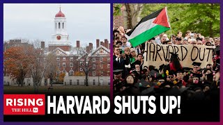 FINALLY Harvard Promises To STOP Making Political Statements [upl. by Sirac]