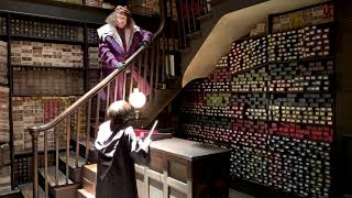 The wand chooses the wizard at Ollivander [upl. by Niraj]