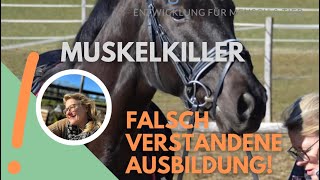 Falsch verstandene Pferdeausbildung  der Muskelkiller [upl. by Adneral]