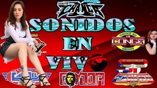 ⚡🎶Sonideros en Vivo⚡🎶  Los Grandes Éxitos del Ayer y Hoy Primera Parte [upl. by Zilber24]