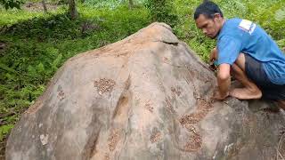 Turtle Stone Signs  Yamashita Treasures  Japanese Golds [upl. by Selrac]