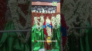 Doddaballapur is Getting Ready for 17th Moharram doddaballapura 17thmuharram anjumanehyderia [upl. by Arden]